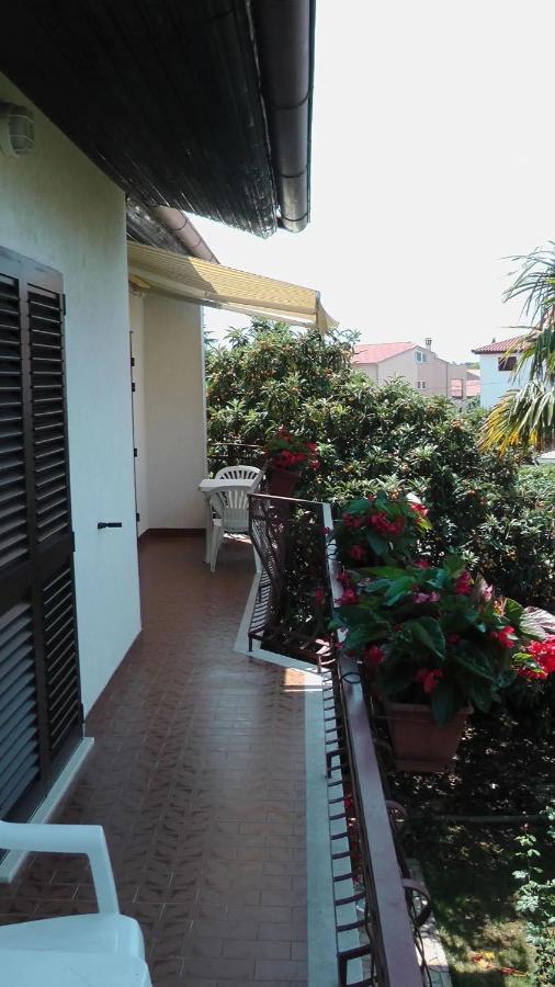 Odak APP Rovinj Bagian luar foto