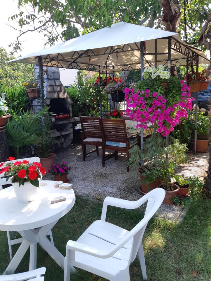 Odak APP Rovinj Bagian luar foto