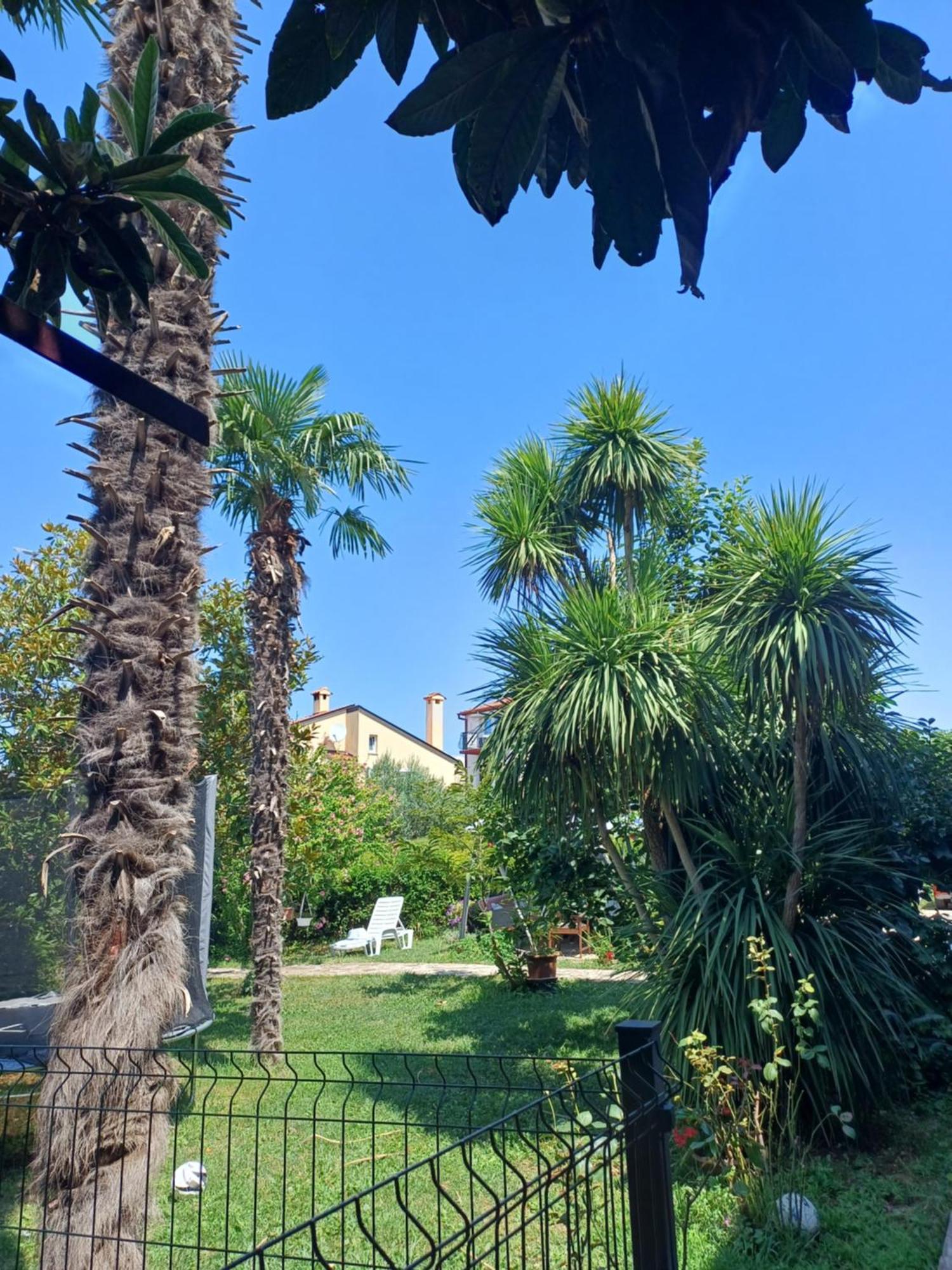 Odak APP Rovinj Bagian luar foto